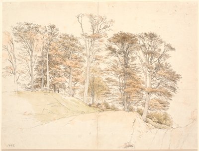 Hoge bomen met herfstbladeren op heuvelachtig terrein door P.C. Skovgaard