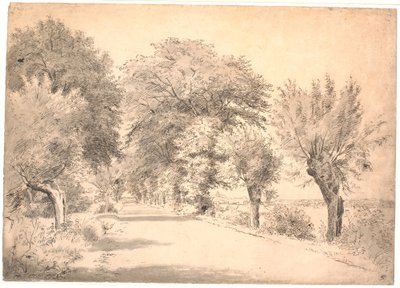 De weg bij het landgoed Vognserup door P.C. Skovgaard