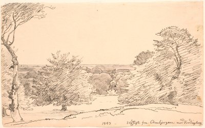 Landschap met Bomen en Wijd Uitzicht vanaf de Ambjergene naar Vordingborg door P.C. Skovgaard