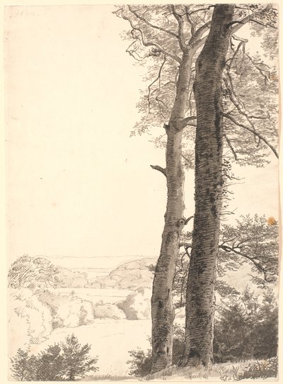Landschap bij Skarritsø met twee hoge bomen, beuken, op de voorgrond door P.C. Skovgaard