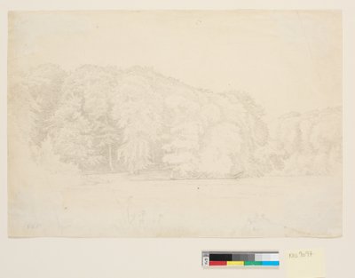 Bosmeer met grote beuken op de achtergrond door P.C. Skovgaard