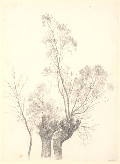 Studie van geknotte wilgen door P.C. Skovgaard