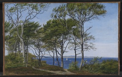 Uitzicht door beukenbomen over een fjord door P.C. Skovgaard