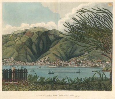 Zicht op St. Thomas, genomen vanaf Havensicht, 18 jan., lithografie door Joseph Constantine Stadler door P. M. (after) Vieillot