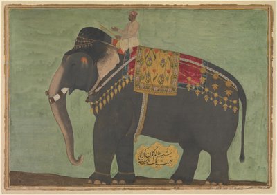 Portret van de olifant 