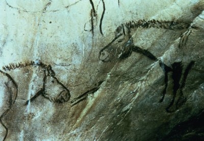 Paarden, rotsschilderingen in de Zwarte Kamer, Magdalénien door Paleolithic Paleolithic