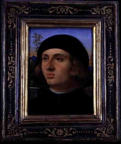 Portret van een Jonge Man door Palma Il Giovane
