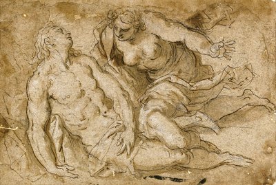 Venus ontdekt de dode Adonis door Palma Il Giovane