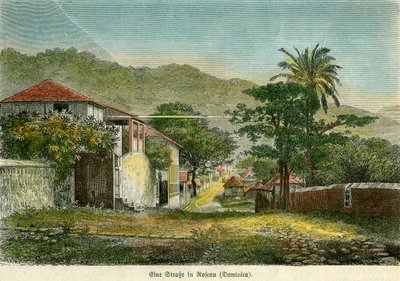 Een straat in Roseau, Dominica, ca. 1880 door Pann