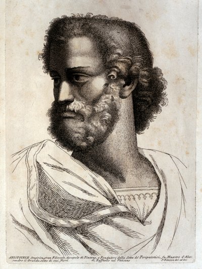 ARISTOTLE door Paolo Fidanza