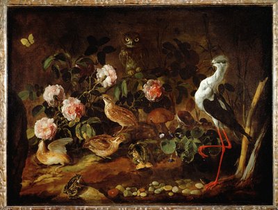 Stilleven met uil en ibis - Nature morte avec une chouette et un ibis ... door Paolo Porpora