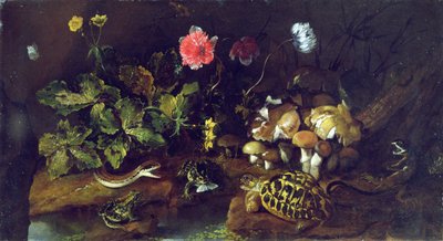 Stilleven met een slang, kikkers, schildpad en hagedis door Paolo Porpora