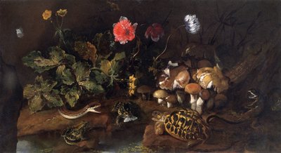 Stilleven met een slang, kikkers, schildpad en hagedis, 1656-1673 door Paolo Porpora