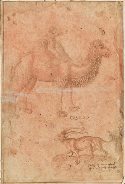 Ein Kamel mit einem reitenden Kind. Darunter ein fabelhaftes Tier (Castoro) door Paolo Uccello