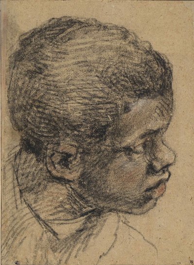 Hoofd van een zwarte jongen, 16e eeuw door Paolo Veronese