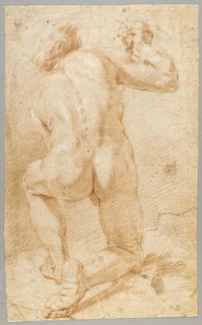 Tekening door Paolo de Matteis