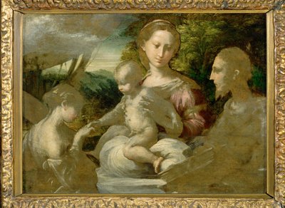 Madonna en heiligen ... door Parmigianino (1503 40)