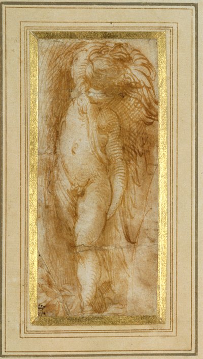 Een putto naar links gedraaid door Parmigianino