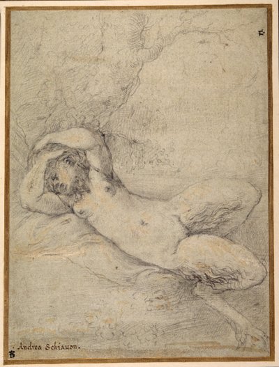 Een slapende satyresse onder een boom door Parmigianino