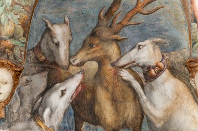 Actaeon, in een hert veranderd, wordt opgegeten door zijn eigen honden, uit de Kamer van Diana en Actaeon, de Noordelijke Muur (detail) door Parmigianino
