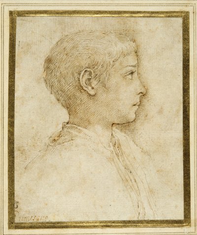 Borstbeeld van een jongen in profiel naar rechts door Parmigianino