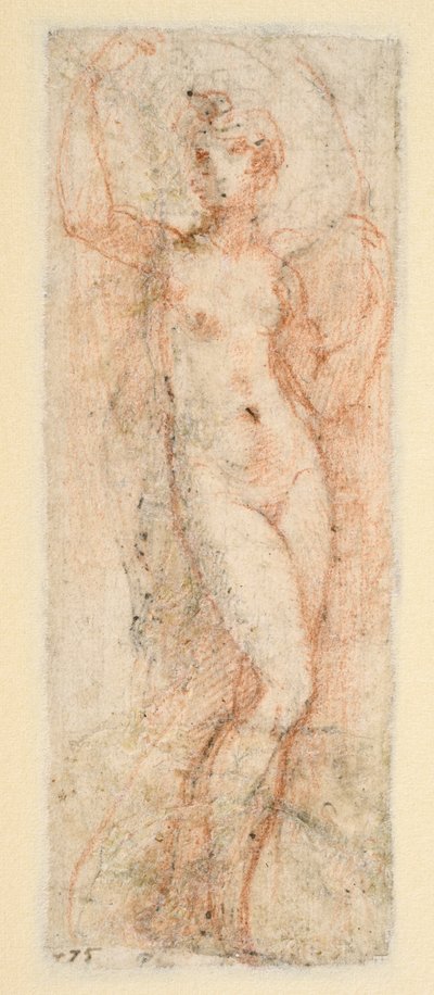 Vrouwelijke figuur - studie voor de Steccata (verso) door Parmigianino