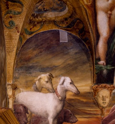 Groep honden, uit Mythe van Diana en Actaeon door Parmigianino