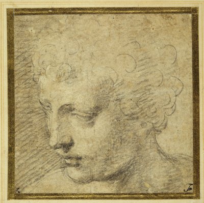 Hoofd van een jongen, bijna in profiel naar links door Parmigianino