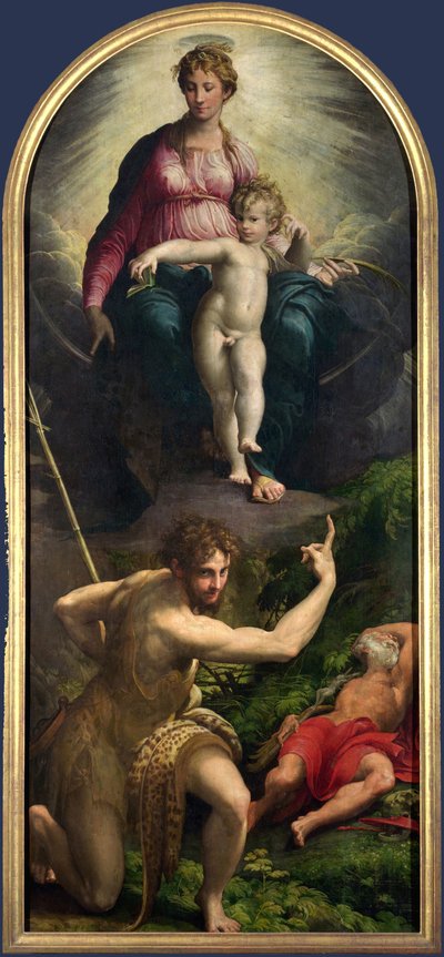 Madonna en Kind met St. Johannes en St. Hiëronymus door Parmigianino
