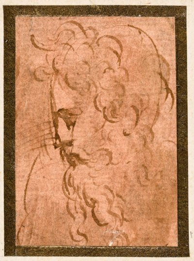 Mannelijk hoofd door Parmigianino
