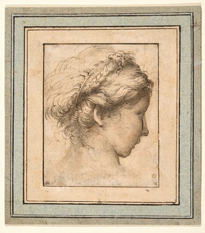 Profielhoofd van een meisje dat naar rechts kijkt door Parmigianino