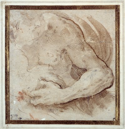 Studie van de linkerarm, borst en hoofd van een bebaarde man door Parmigianino
