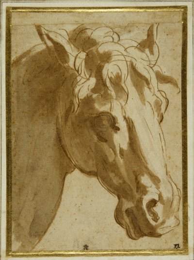 Het hoofd en de nek van een paard door Parmigianino