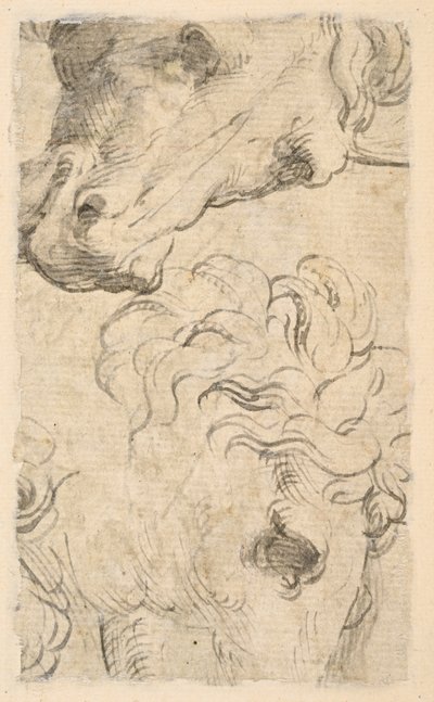 Twee studies van paardenhoofden (fragment) (verso) door Parmigianino