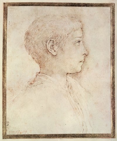 Hoofd van een jongen door Parmigianino