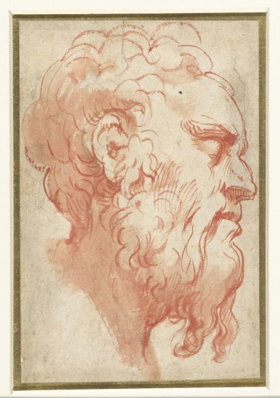 Hoofd van een oude man, en profil naar rechts door Parmigianino