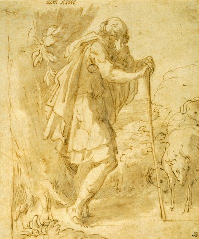 Oude Herder Leunend op een Staf door Parmigianino