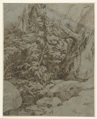 Studie van een landschap door Parmigianino