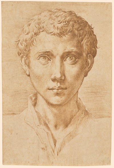 Het hoofd van een jonge man door Parmigianino