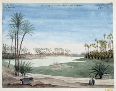 Egypte: Uitzicht op het dorp Metriham nabij Memphis, 1819 door Pascal Xavier (after) Coste
