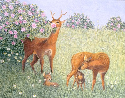 Hertenfamilie (olieverf op doek) door Pat Scott