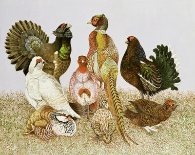 Wilde vogels door Pat Scott