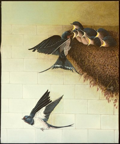 Hongerige monden, 2011 (acryl op calico) door Pat Scott