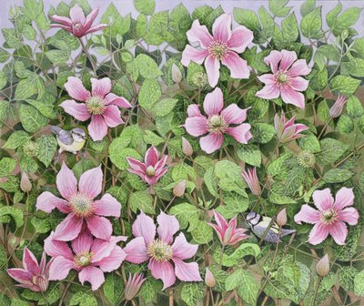 Nestelen in Clematis (olieverf op doek) door Pat Scott