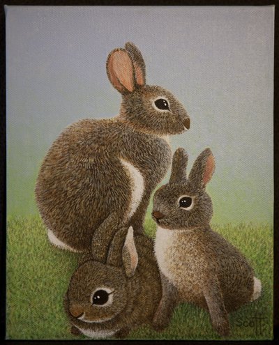 Familie Konijn, 2016 door Pat Scott