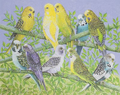 Sweet Talking (acrylverf op doek) door Pat Scott