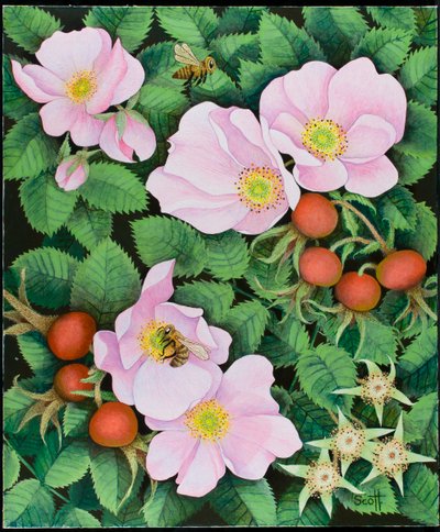 Teamwork, 2011 (acryl op doek) door Pat Scott