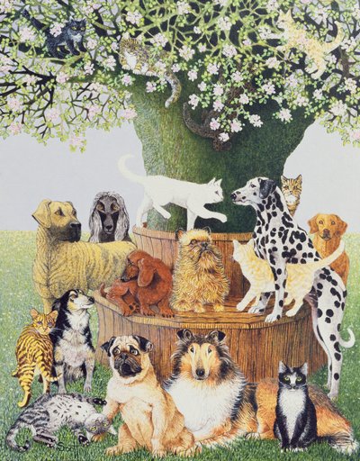 De probeerboom door Pat Scott