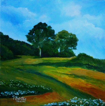 Bleuets bij Thiotte door Patricia Brintle
