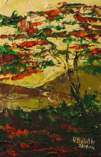 Flamboyant in bloei, 2014 door Patricia Brintle
